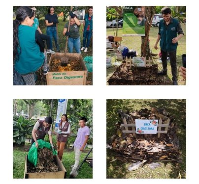 Celebración del Día Mundial de la paca digestora en la UTP: transforme sus residuos en vida 