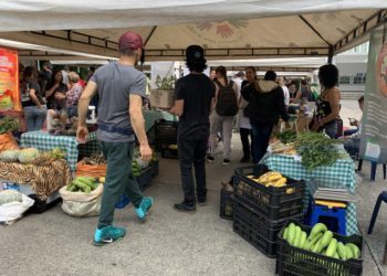 Girleyda Patricia Largo Romero, la joven que lleva el legado agroecológico al Mercado Agroecológico UTP 