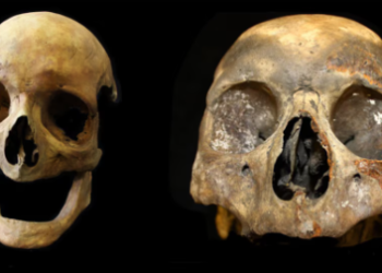 Arqueólogos descubren un nuevo e “irreparable” efecto del tabaco que persiste incluso después de muerto