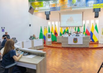 ACCIONES FRENTE A LAS JAC