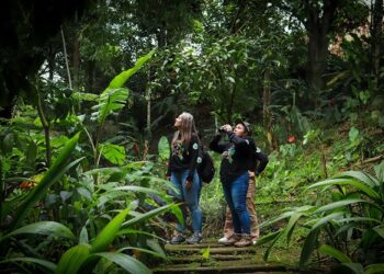 Marsella celebra la 2.ª versión del Festival de Aves, un encuentro de educación, cultura y conciencia ambiental
