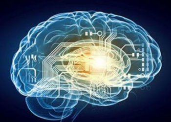 Algunas células cerebrales cambian con la edad, otras no, según un estudio