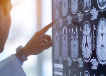 En ocho años aumentó un 50% la cantidad de microplásticos hallados en cerebros humanos