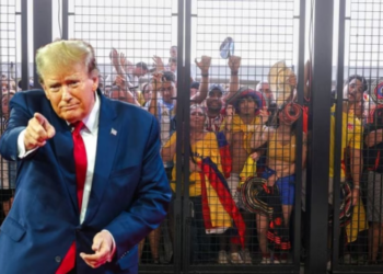 Donald Trump ordenaría deportaciones masivas de colombianos involucrados en los disturbios en la final de la Copa América 2024