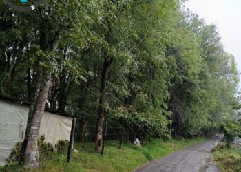 Gobernación de Risaralda invierte 1.200 millones para la conservación de recursos hídricos