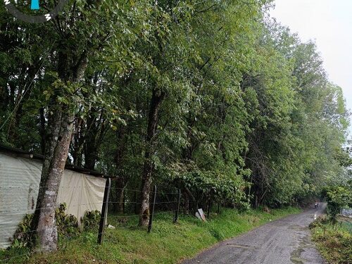 Gobernación de Risaralda invierte 1.200 millones para la conservación de recursos hídricos