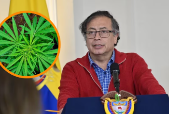 Gustavo Petro pidió al Congreso que se legalice la marihuana en Colombia: “La prohibición solo trae más violencia”