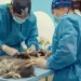 ¡Seguimos haciendo historia! 18.000 peluditos atendidos en los primeros seis meses del Hospital Público Veterinario de Pereira
