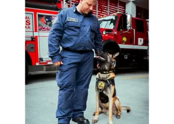 Binomio K9 del Cuerpo Oficial de Bomberos de Pereira, apoyó labores de rescate en Villamaría Caldas