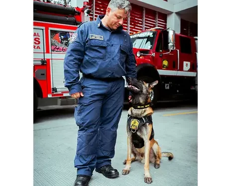 Binomio K9 del Cuerpo Oficial de Bomberos de Pereira, apoyó labores de rescate en Villamaría Caldas
