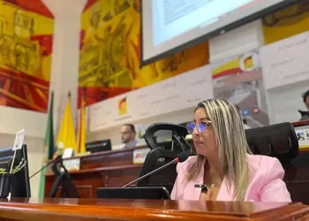 La directora del Área Metropolitana Centro Occidente presentó ante el Concejo Municipal de Pereira el Informe de Gestión 2024
