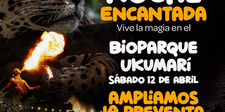 Prepárate para una noche encantada