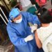 Gobernación de Risaralda toma medidas respecto a la alerta de fiebre amarilla en el país