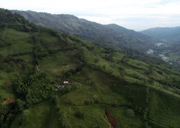 La Gobernación de Risaralda celebra el Día Mundial de la Tierra destacando su liderazgo ambiental