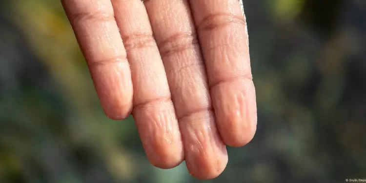 La pregunta de un niño desvela misterio de los dedos mojados