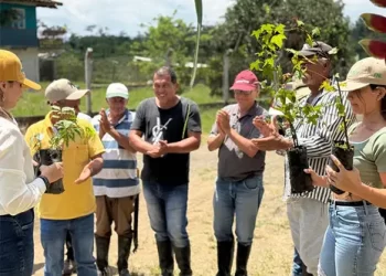 Entrega provisional del predio La Comuna representa un avance para la paz, la memoria y la reforma rural en Pereira