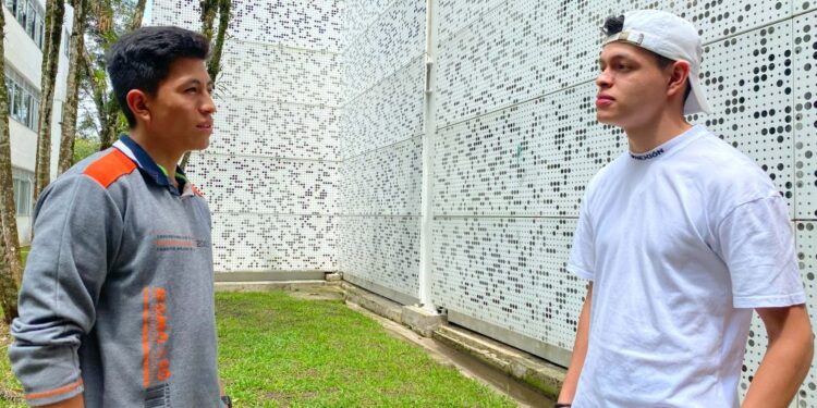 Descubra el futuro de los bosques: Tecnología en Producción Forestal de la UTP