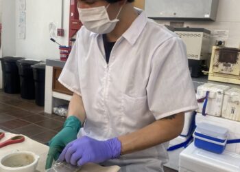 Formarse para transformar: una historia desde la Facultad de Ciencias Ambientales