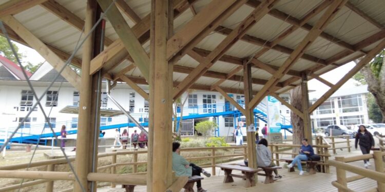 UTP entre las universidades que más aportan a los ODS en Colombia, según THE Impact