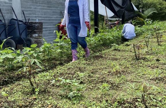 Cultivando el futuro: Estudia Tecnología en Producción Agrícola en la UTP