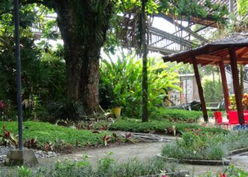 Vacaciones Creativas en el Jardín Botánico: una experiencia de arte, naturaleza y educación ambiental para niños y niñas