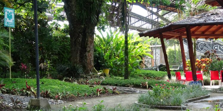 Vacaciones Creativas en el Jardín Botánico: una experiencia de arte, naturaleza y educación ambiental para niños y niñas