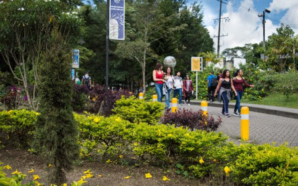 Comunicado Plazo para transferencias primarias de documentos vence el 1.º de julio