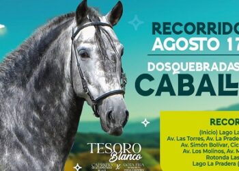 La Alcaldía de Dosquebradas activa medidas integrales para garantizar bienestar animal, seguridad y movilidad durante el Desfile a Caballo