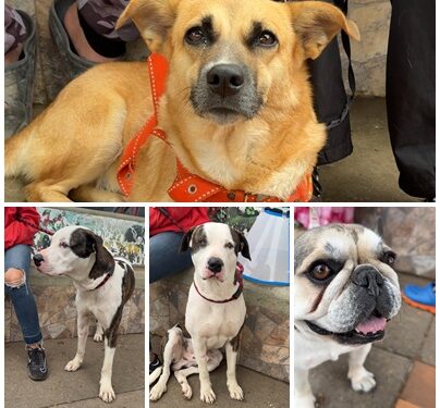 Arabia recibe una jornada de atención gratuita gracias al liderazgo del alcalde Mauricio Salazar