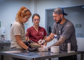 Pereira será sede del Segundo Congreso Internacional de Cuidadores de Fauna Silvestre