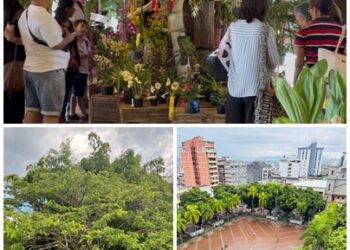 Cada vez más pereiranos conocen el proyecto Prospectiva Pereira 2054