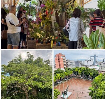 Cada vez más pereiranos conocen el proyecto Prospectiva Pereira 2054