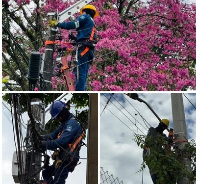 La modernización del Alumbrado Público de Pereira presenta un avance del 25%