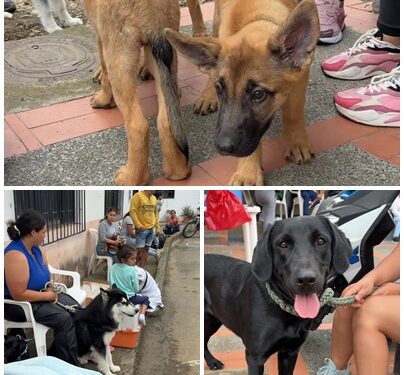 Bienestar animal sin fronteras: alcalde Mauricio Salazar lleva atención veterinaria a La Estrella – La Palmilla