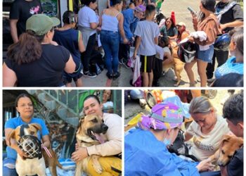 El AMCO y el Hospital Público Veterinario realizaron jornada de esterilización gratuita para mascotas en la comuna El Rocío