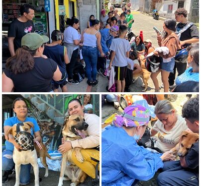 El AMCO y el Hospital Público Veterinario realizaron jornada de esterilización gratuita para mascotas en la comuna El Rocío