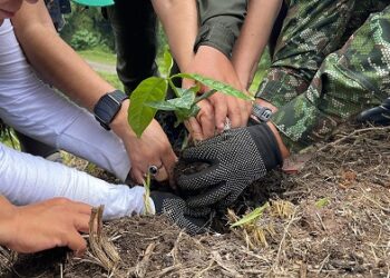 SECRETARÍA DE DEPORTE Y RECREACIÓN DE PEREIRA APOYA JORNADA DE REFORESTACIÓN