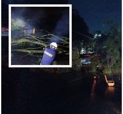 Cuerpo Oficial de Bomberos Pereira atendió emergencias por caída de árboles y poste de energía