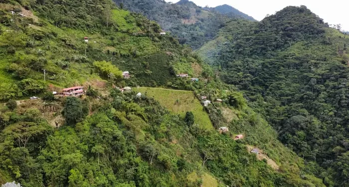 Avanza la conformación del Comité Municipal del Paisaje Cultural Cafetero en Pereira