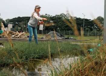 PREVENCIÓN Y CONTROL DEL AEDES AEGYPTI
