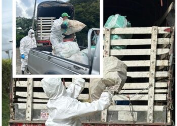 MÁS DE TRES TONELADAS DE RESIDUOS POSCONSUMO FUERON RECOLECTADAS EN EL CAMPO PEREIRANO