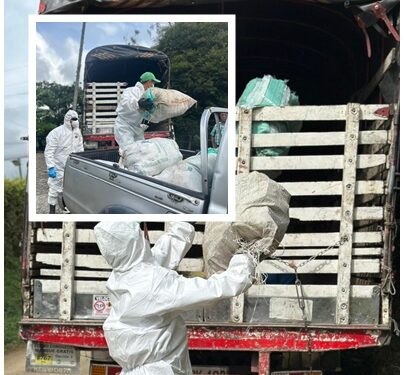 MÁS DE TRES TONELADAS DE RESIDUOS POSCONSUMO FUERON RECOLECTADAS EN EL CAMPO PEREIRANO