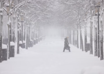 La tormenta invernal Johanes azotó los países nórdicos y dejó a miles sin suministro eléctrico: hay al menos dos muertos