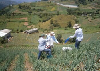 Donde las ideas se vuelven territorio, el doctorado que transforma la relación entre comunidad y ambiente
