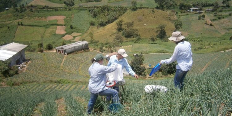 Donde las ideas se vuelven territorio, el doctorado que transforma la relación entre comunidad y ambiente