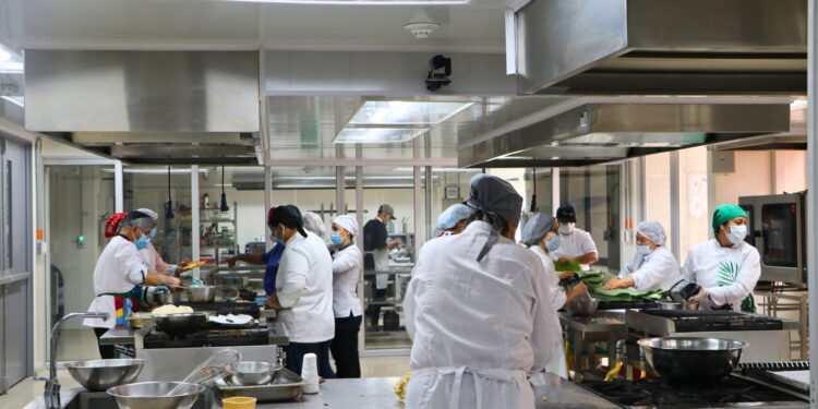 Transforma el futuro del Eje Cafetero con las becas crédito para doctorados