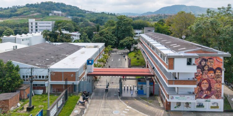 La UTP abre inscripciones extraordinarias para pregrados 2026