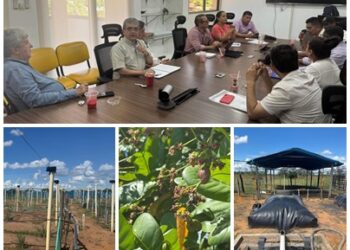 Facultad de Ciencias Agrarias y Agroindustria proyecta alianza estratégica con el Vichada para impulsar la investigación, la innovación y el desarrollo alrededor del Marañón