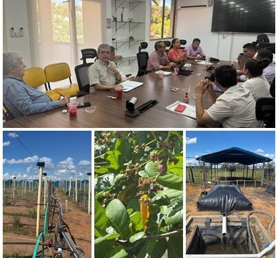 Facultad de Ciencias Agrarias y Agroindustria proyecta alianza estratégica con el Vichada para impulsar la investigación, la innovación y el desarrollo alrededor del Marañón