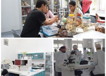 La Facultad de Ciencias de la Salud y su compromiso con la sostenibilidad ambiental